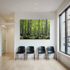 Forests and meadows Lush forest scene with trees, greenery and moss
