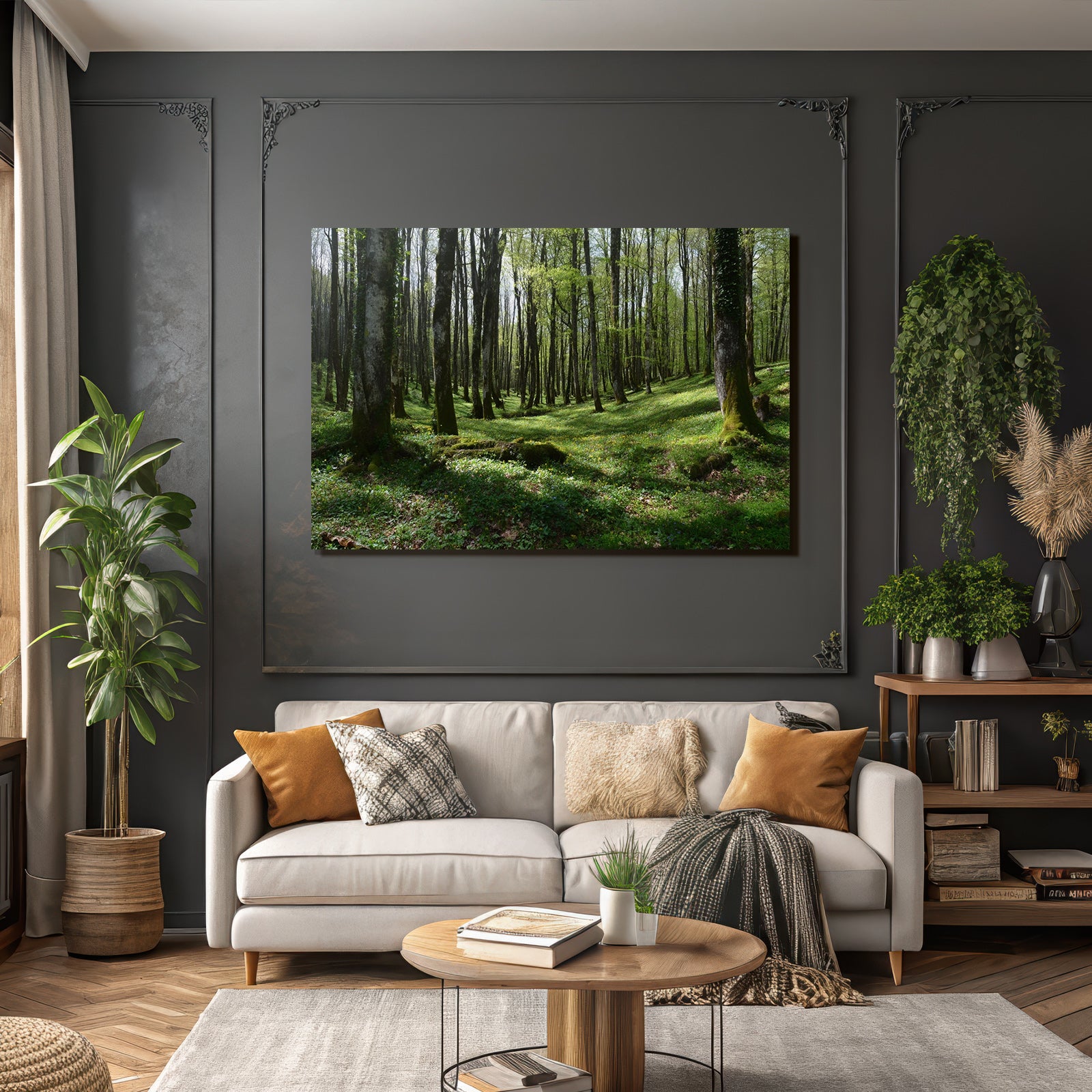 Forests and Meadows Lush Forest Spring Early Summer Nature Scene