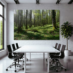 Forests and Meadows Lush Forest Spring Early Summer Nature Scene