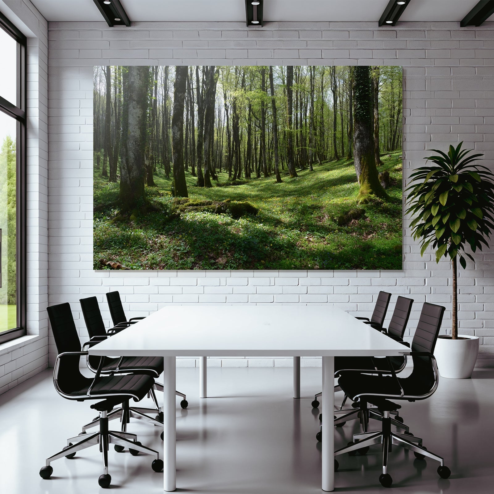Forests and Meadows Lush Forest Spring Early Summer Nature Scene