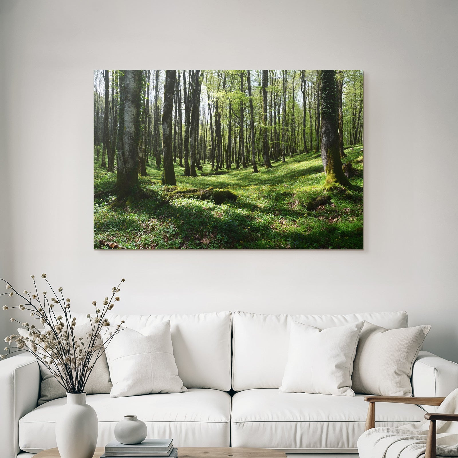 Forests and Meadows Lush Forest Spring Early Summer Nature Scene