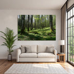 Forests and Meadows Lush Forest Spring Early Summer Nature Scene