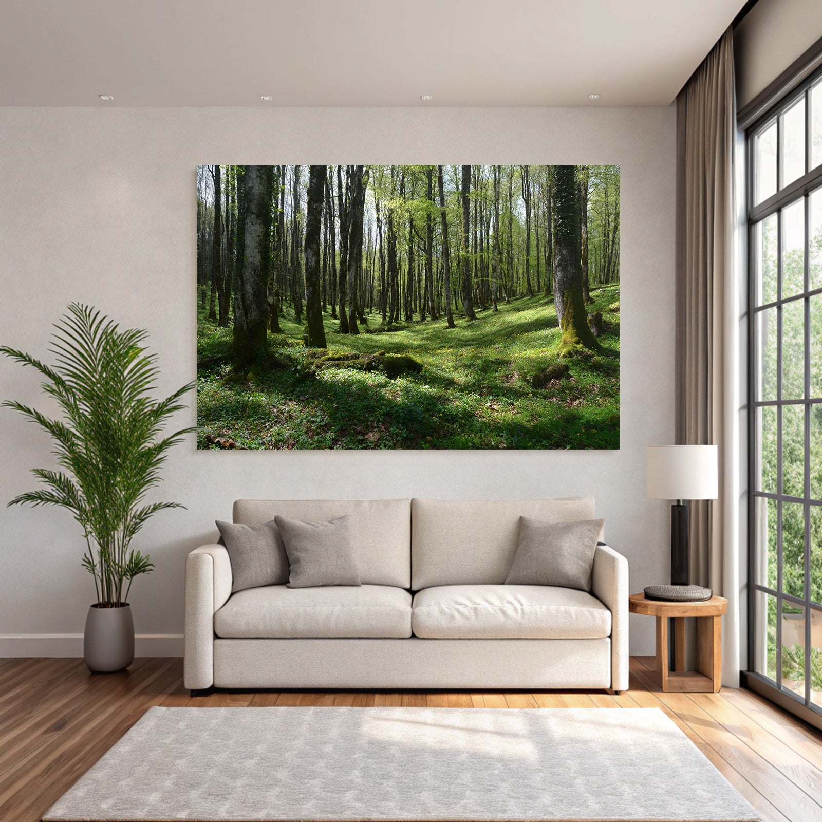 Forests and Meadows Lush Forest Spring Early Summer Nature Scene