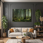 Forests and meadows. Quiet forest with trees, green moss and soft light.