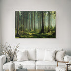 Forests and meadows. Quiet forest with trees, green moss and soft light.