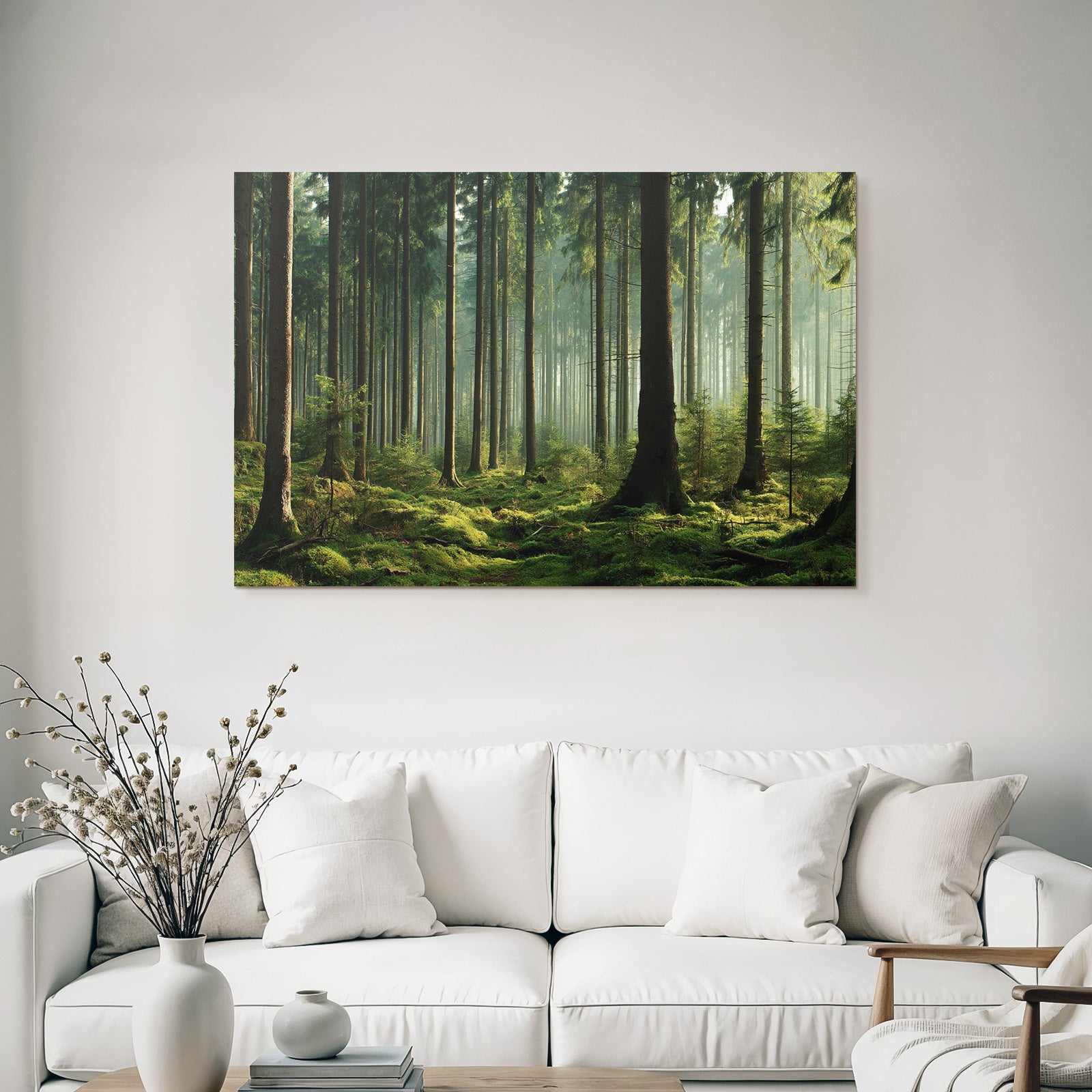 Forests and meadows. Quiet forest with trees, green moss and soft light.