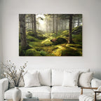 Forests and meadows Quiet forest with light through leaves, moss and ferns