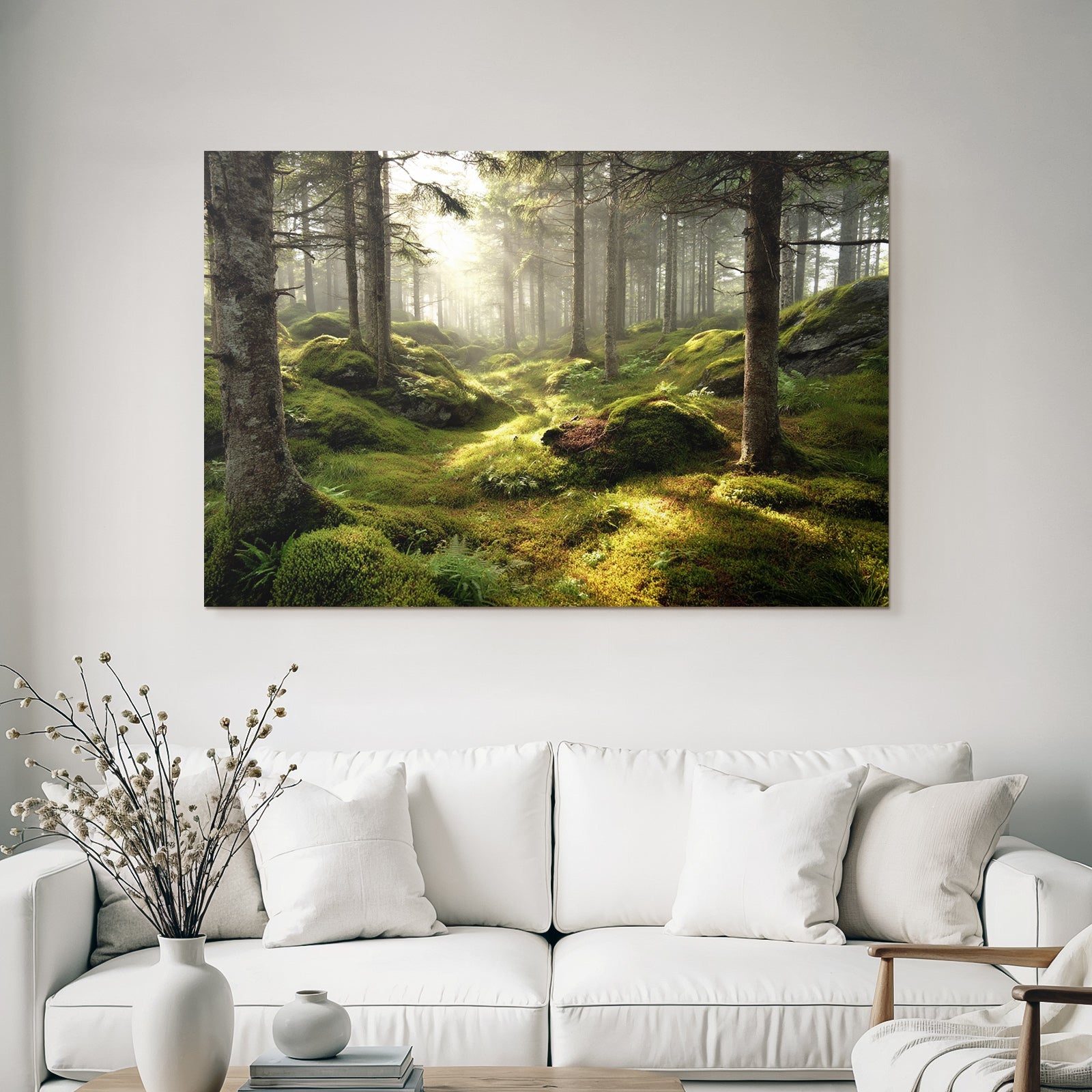 Forests and meadows Quiet forest with light through leaves, moss and ferns