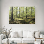 Forests and meadows. Tranquil forest scene with green trees and moss.