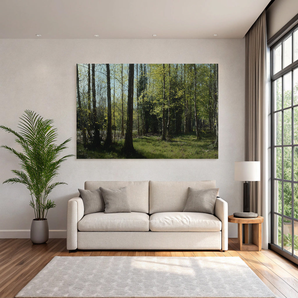 Forests and meadows. Tranquil forest scene with green trees and sunlight.