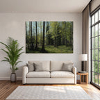 Forests and meadows. Tranquil forest scene with green trees and sunlight.