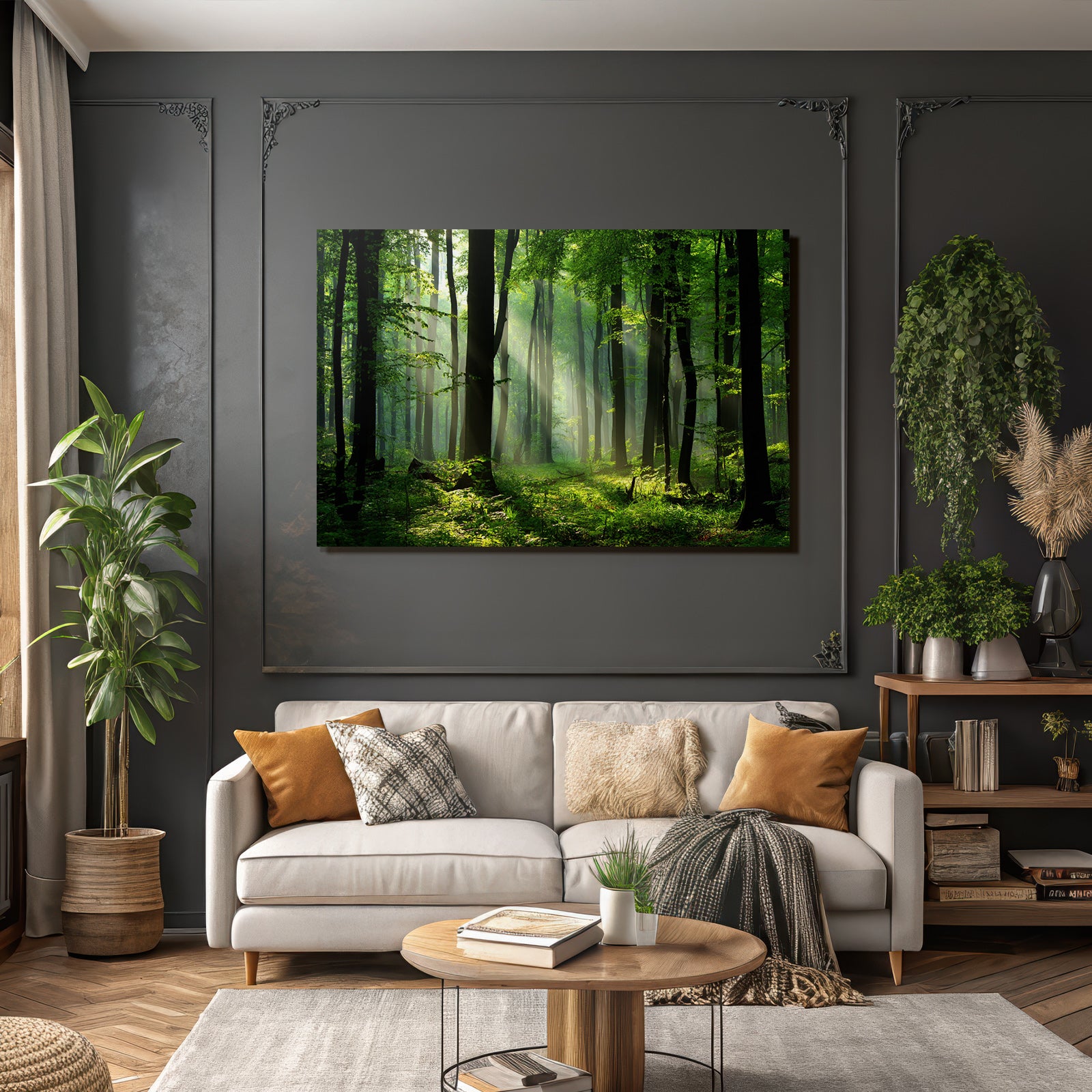 Forests and meadows. Tranquil forest scenes with green trees and sunshine.