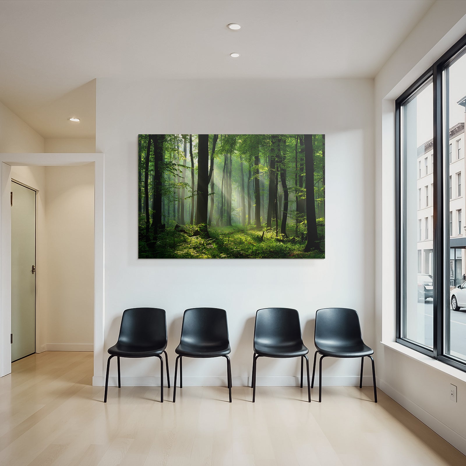 Forests and meadows. Tranquil forest scenes with green trees and sunshine.