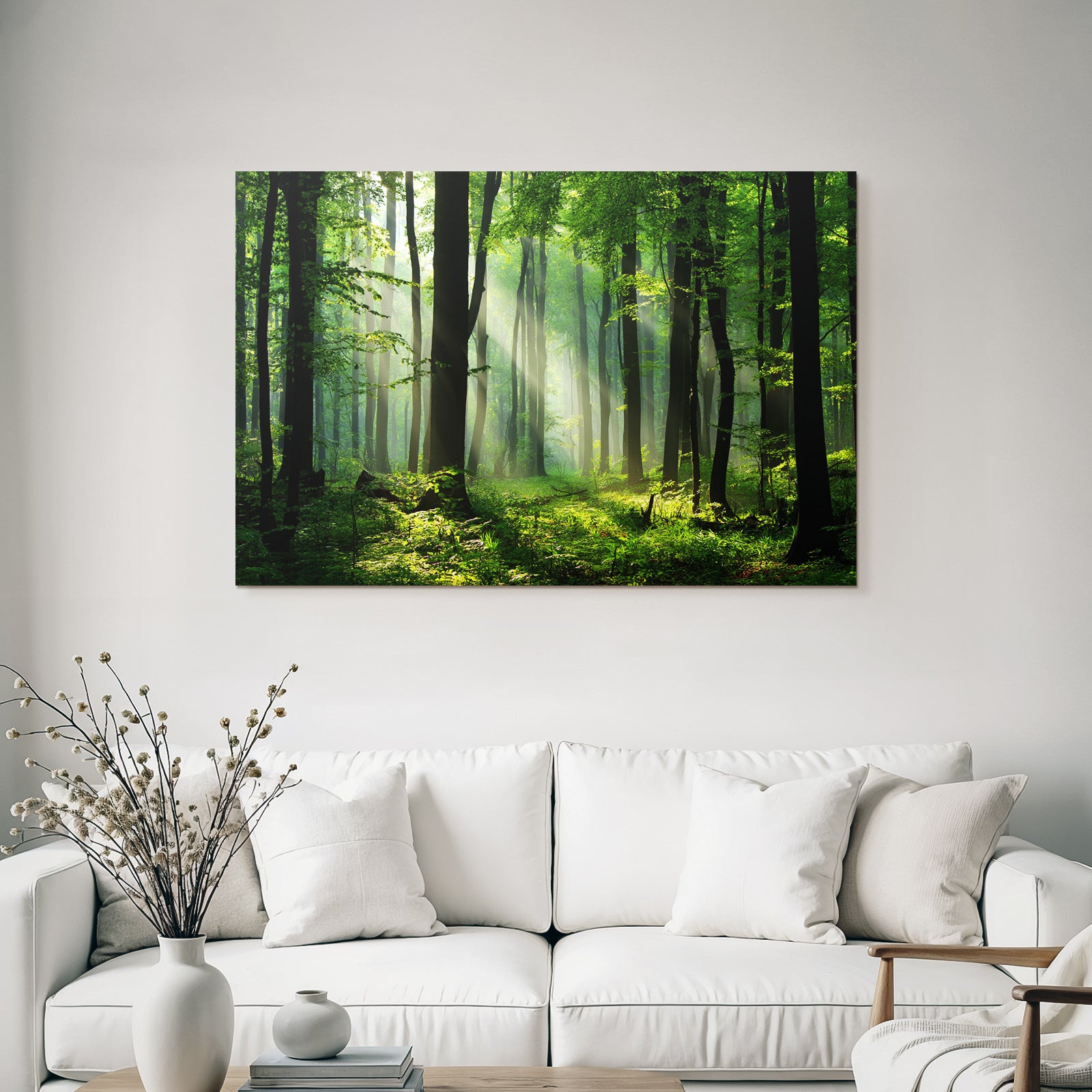 Forests and meadows. Tranquil forest scenes with green trees and sunshine.
