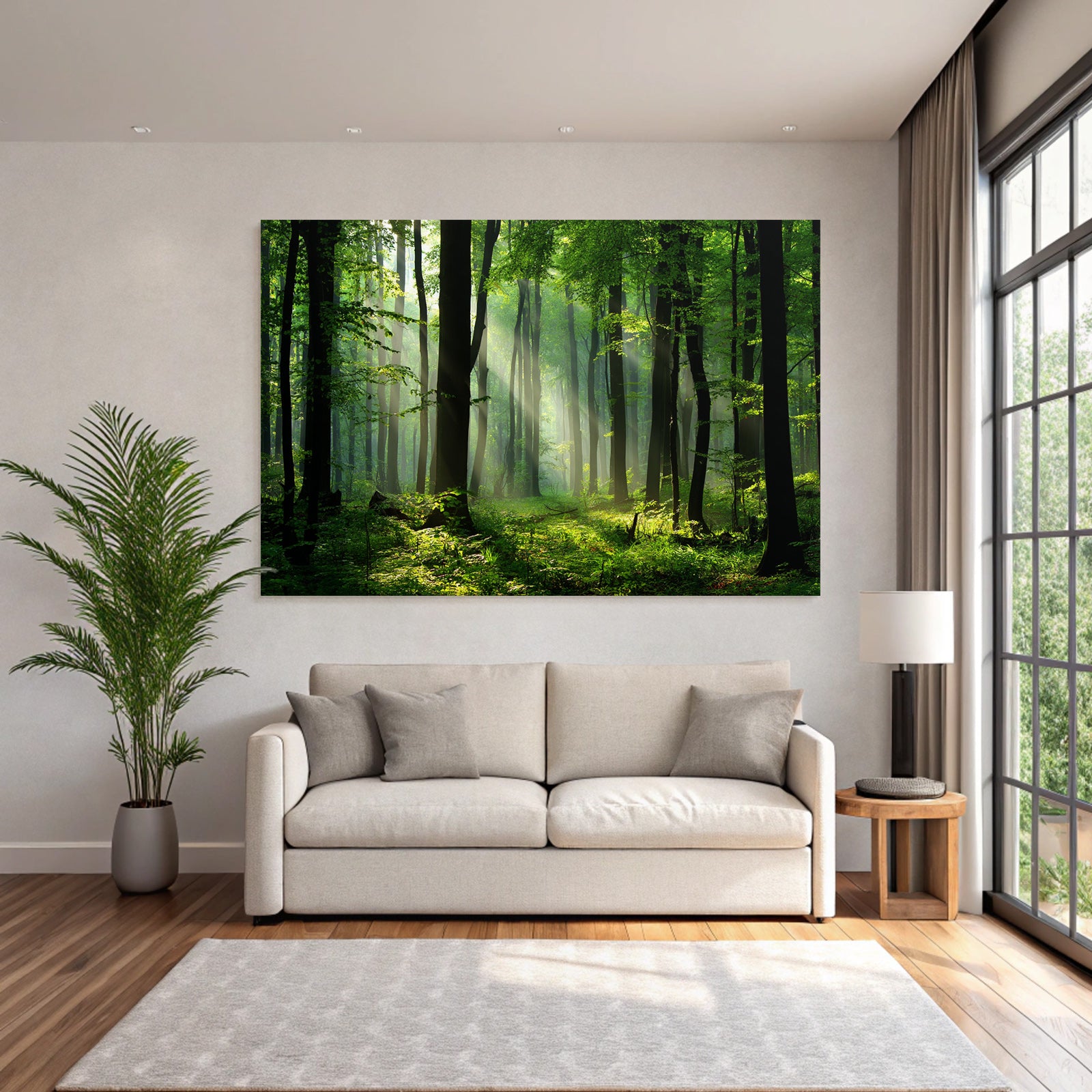 Forests and meadows. Tranquil forest scenes with green trees and sunshine.