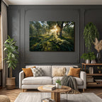 Forests and meadows. Tranquil forest scenes with sunlight and green vegetation.