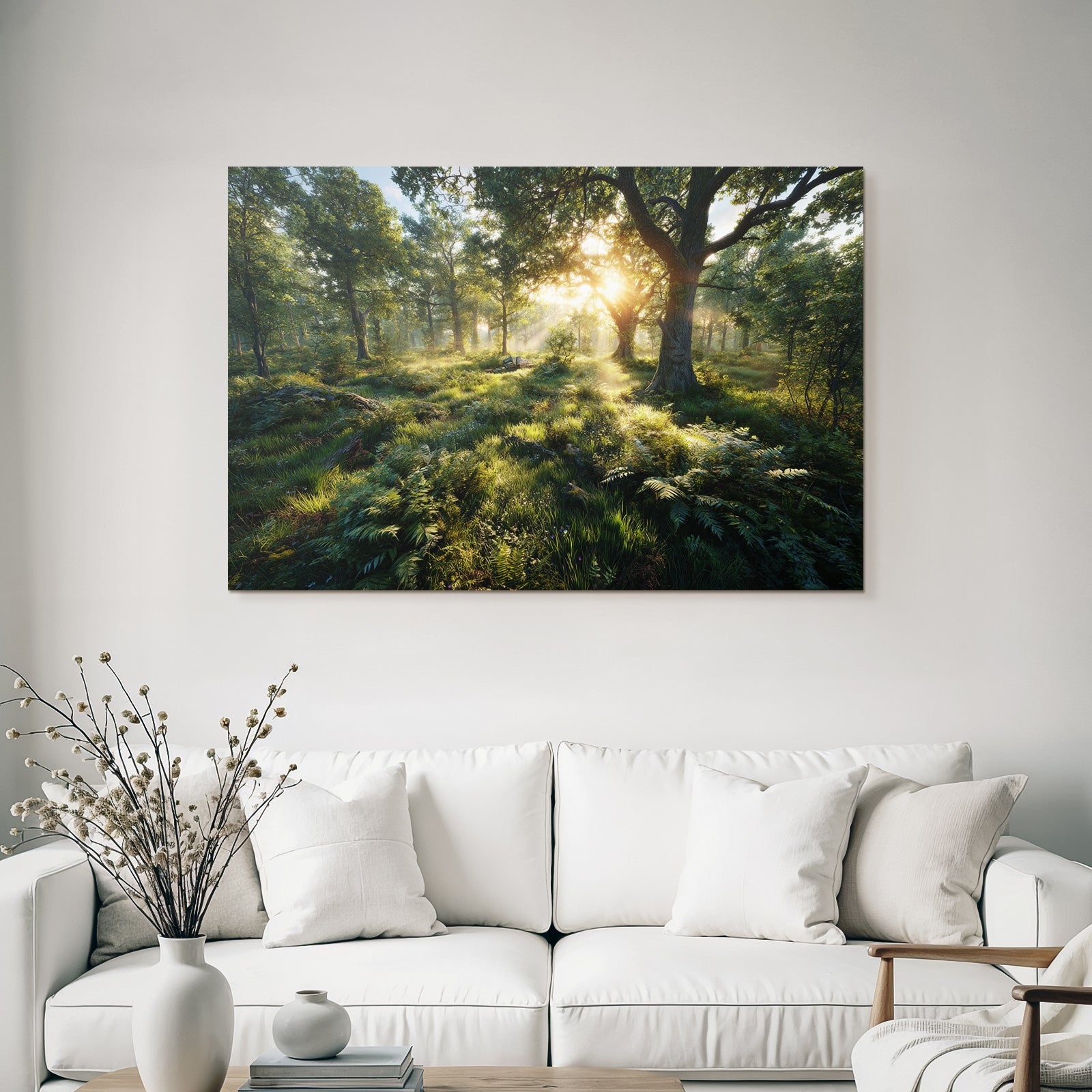 Forests and meadows. Tranquil forest scenes with sunlight and green vegetation.
