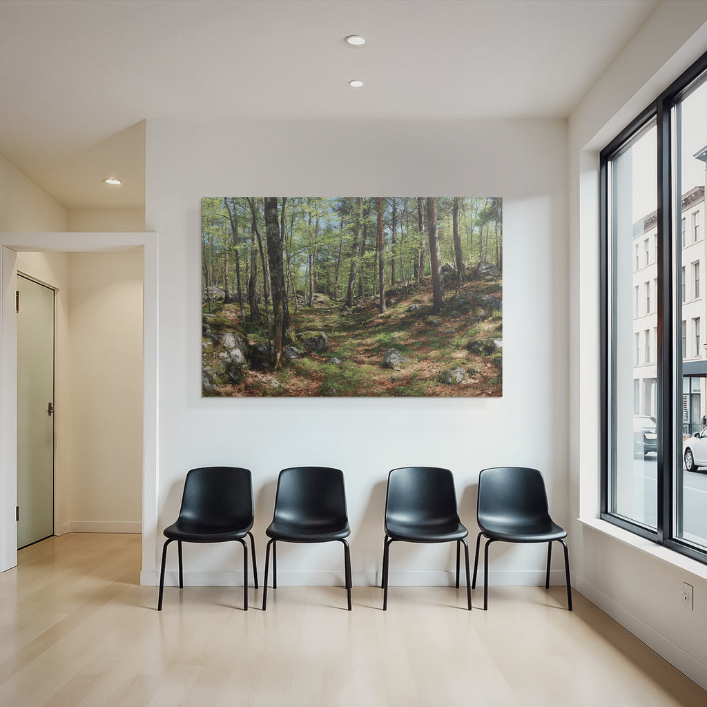 Forests and meadows Quiet forest path with trees and stone ground in a luxurious setting
