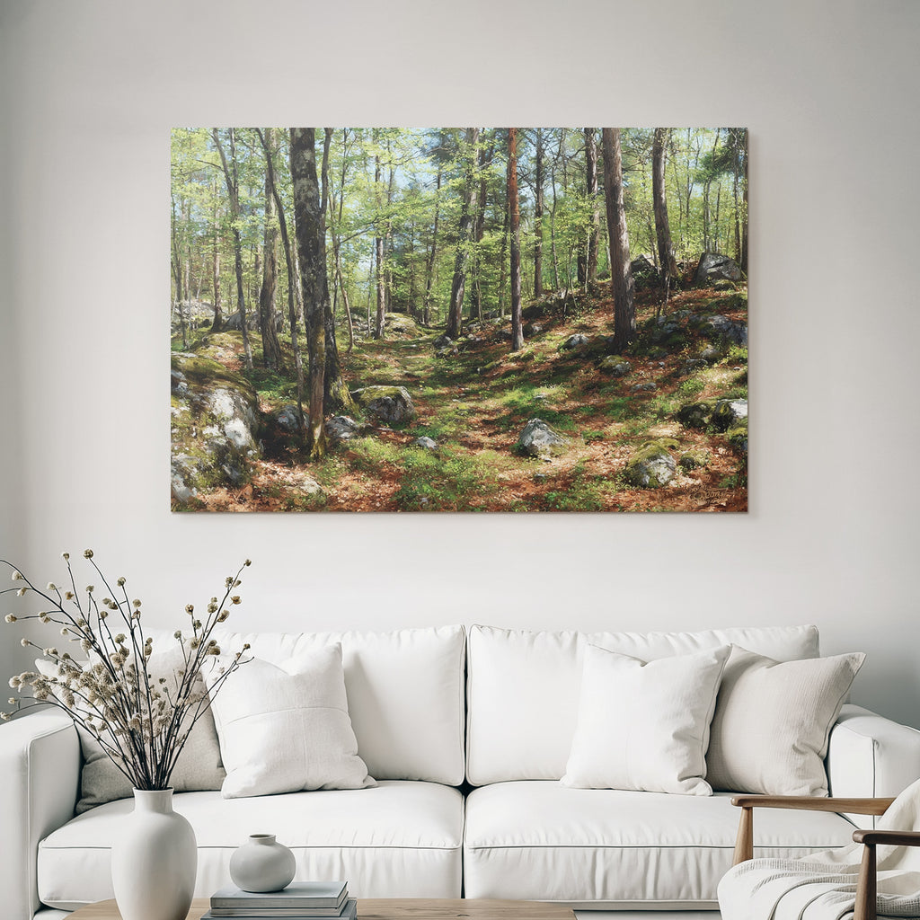 Forests and meadows Quiet forest path with trees and stone ground in a luxurious setting