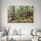 Forests and meadows Quiet forest path with trees and stone ground in a luxurious setting