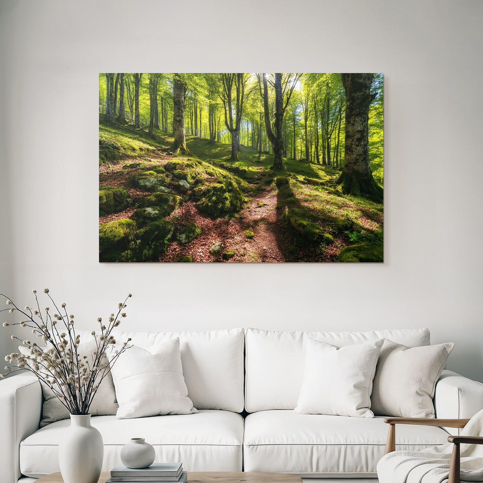 Forests and meadows Quiet forest path with trees and leaves