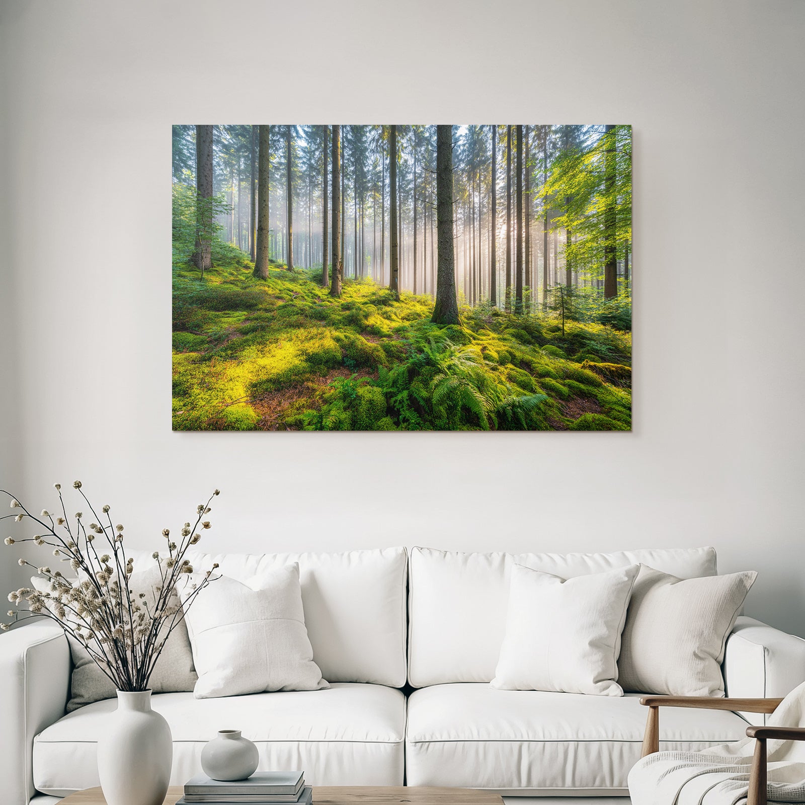 Forests and meadows. Tranquil forest scene with fog and sunlight.