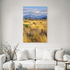 Desert golden grassland with acacia trees and mountains under cloudy sky