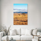 Desert golden grass landscape with trees and hills under blue sky