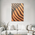 desert sand dunes closeup pattern texture exposure