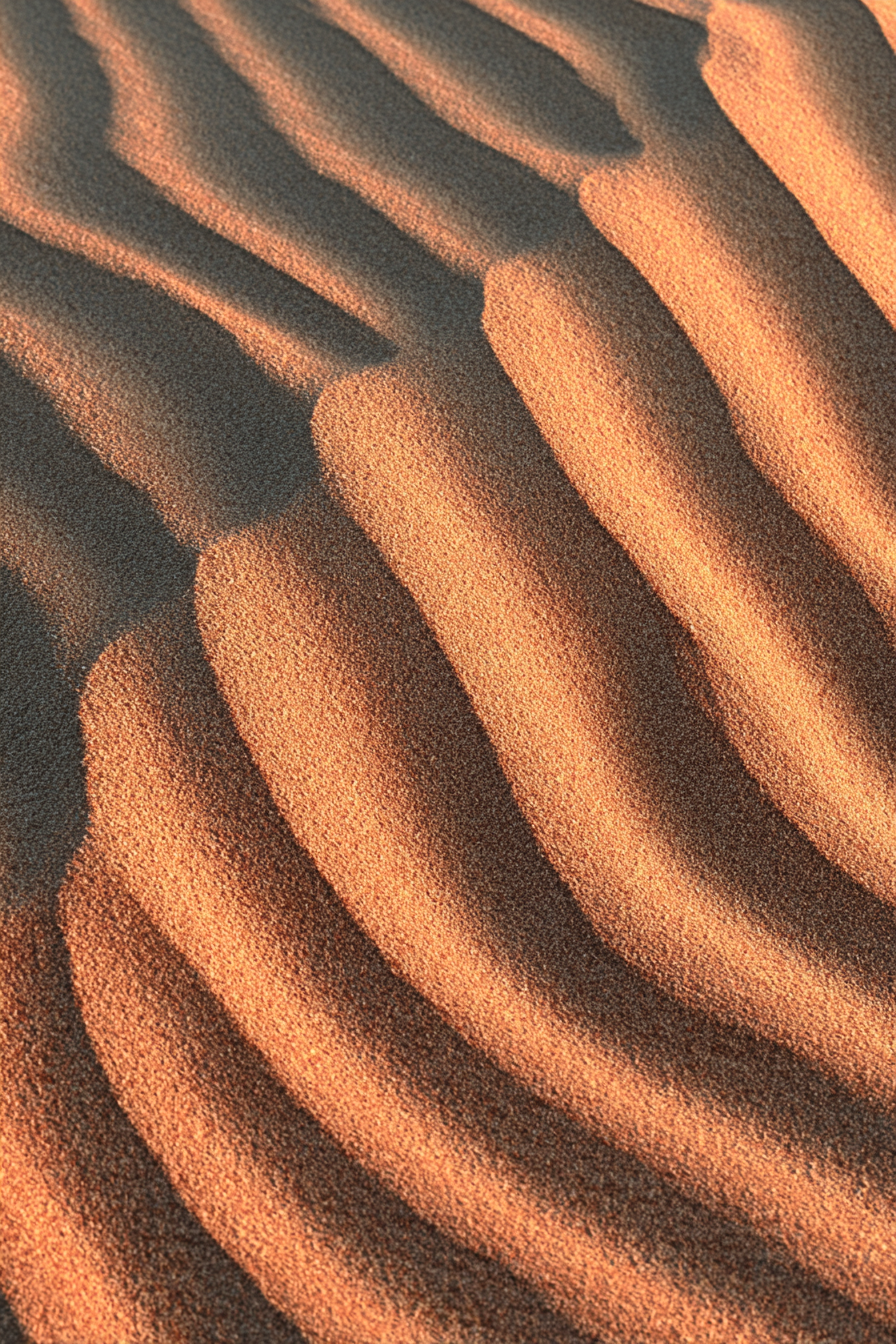 Wüsten Sand Dünen Naheaufnahme Muster Textur Belichtung | Wuesten und Savanne | Landschaften