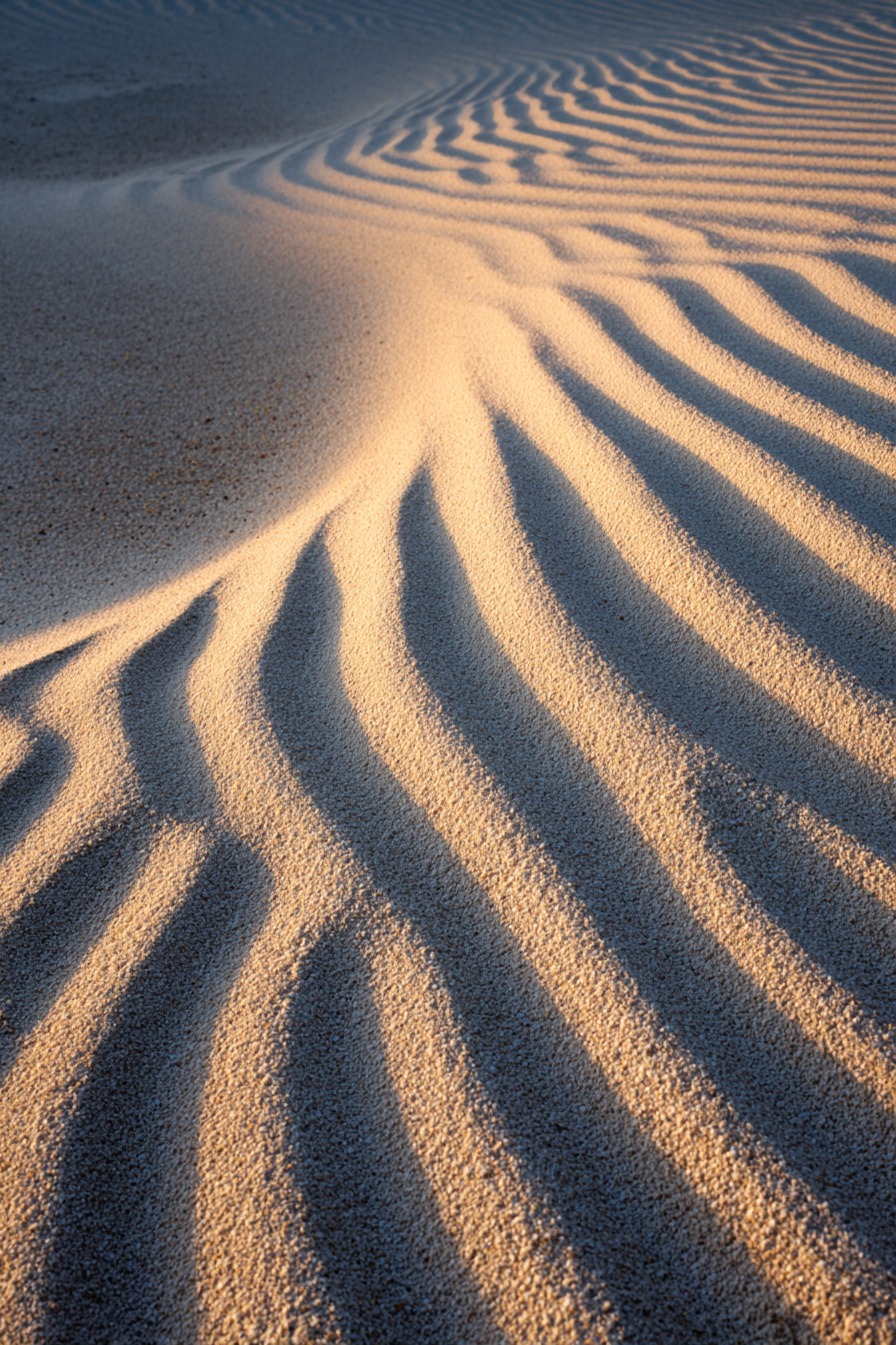 Wüsten Sand Mit Welligem Muster Licht Schatten Strand Oder Wüste | Wuesten und Savanne | Landschaften
