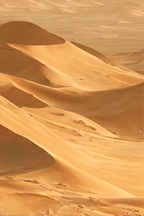 Wüsten Sanddünen Wüste Goldbraun Ruhelosigkeit | Wuesten und Savanne | Landschaften
