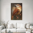 Desert bird on branch brown plumage with water drops