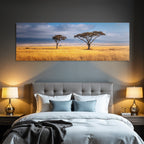 Desert Acacia Trees African Savannah Sunset Golden Grassland