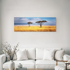 Desert Acacia Trees African Savannah Sunset Golden Grassland