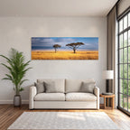 Desert Acacia Trees African Savannah Sunset Golden Grassland