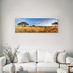 Desert panoramic view of savannah with golden grasslands and blue skies