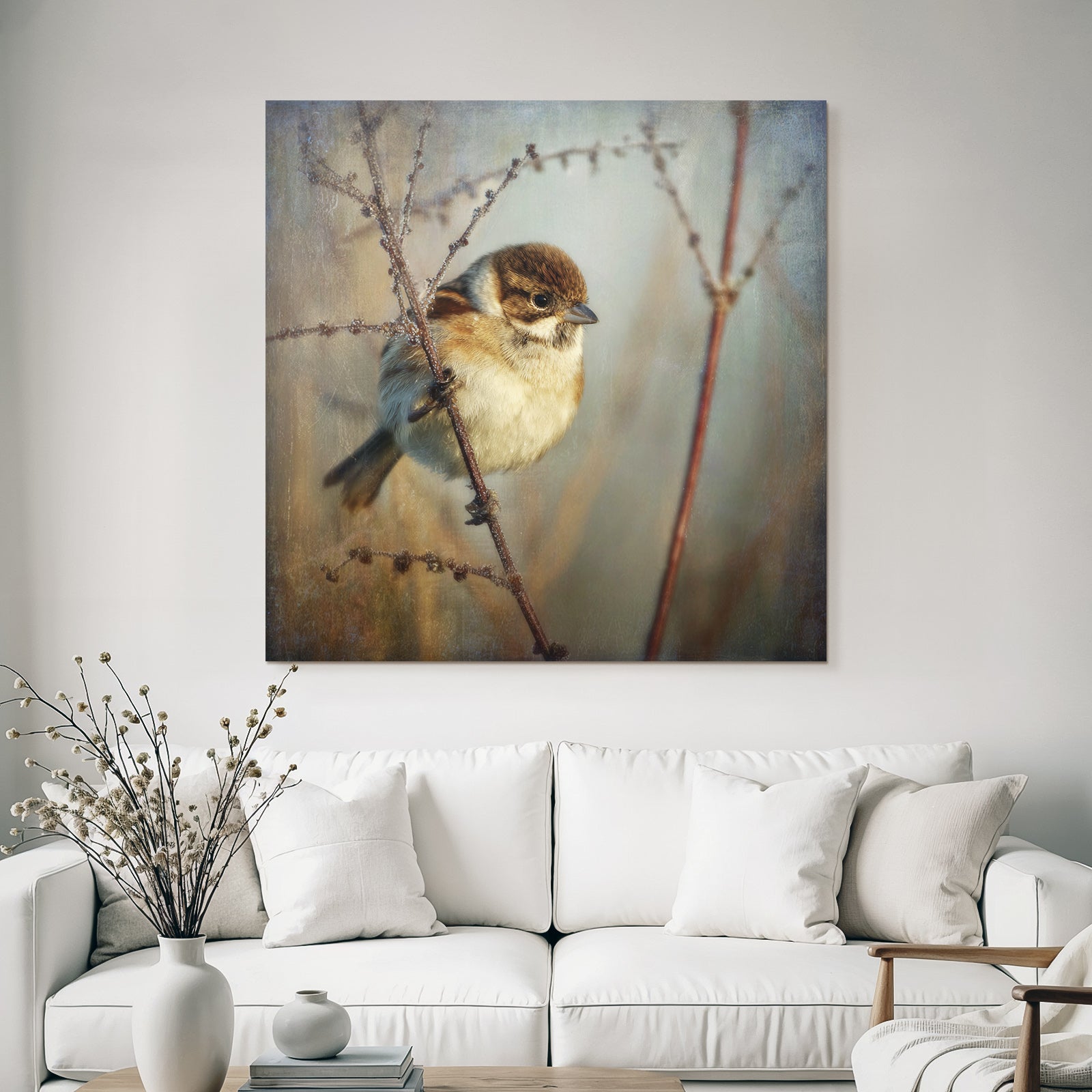 Desert Small Bird on a Branch with Brown and White Feathers