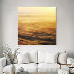 Desert Sand Landscape In Golden Light