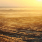 Wüsten Sandlandschaft Im Goldenen Licht | Wuesten und Savanne | Landschaften