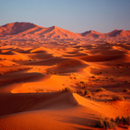 Wüsten Wüstenlandschaft Sanddünen Sonnenuntergang Goldenes Licht | Wuesten und Savanne | Landschaften