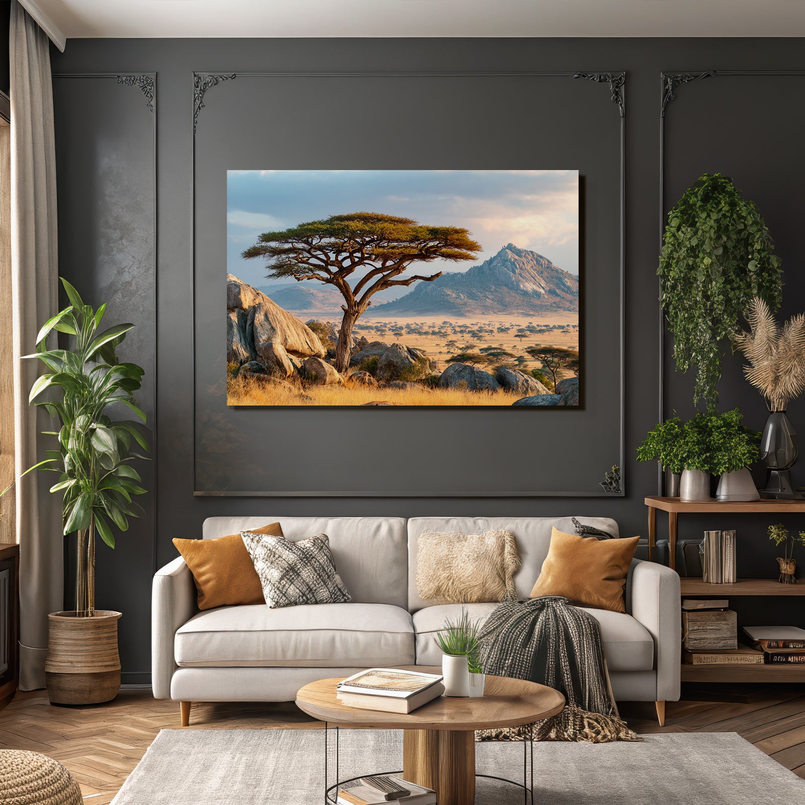 Desert Acacia Tree Stone Landscape Savana Golden Hour