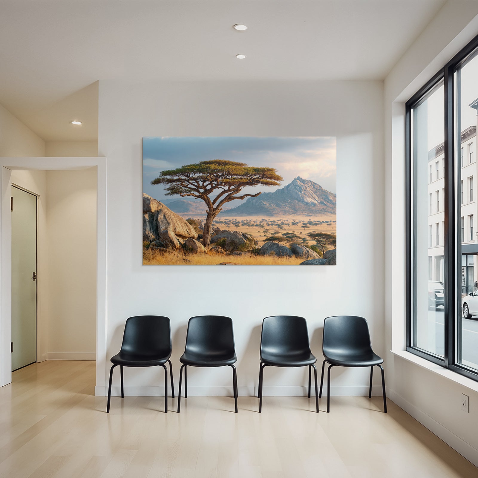 Desert Acacia Tree Stone Landscape Savana Golden Hour
