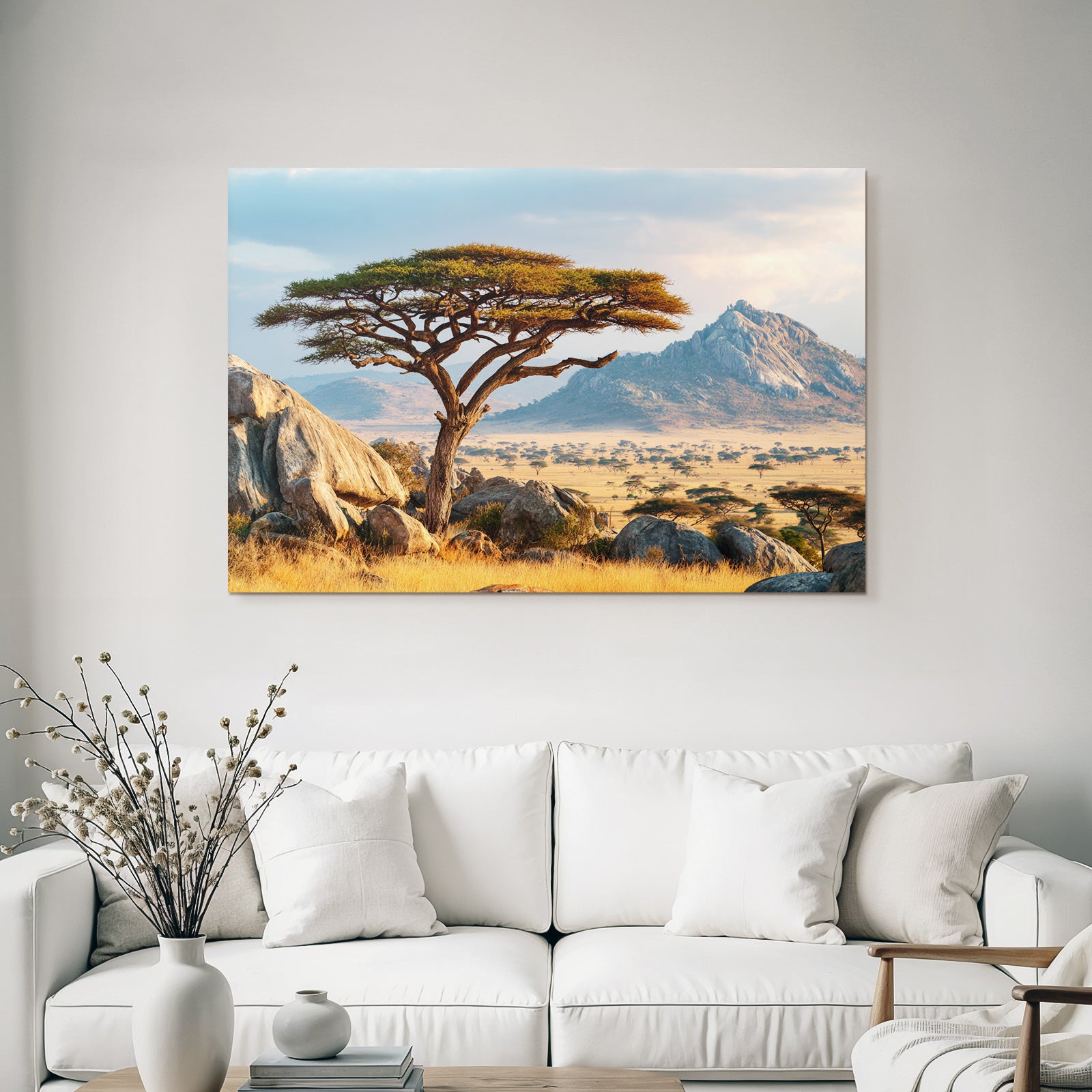 Desert Acacia Tree Stone Landscape Savana Golden Hour