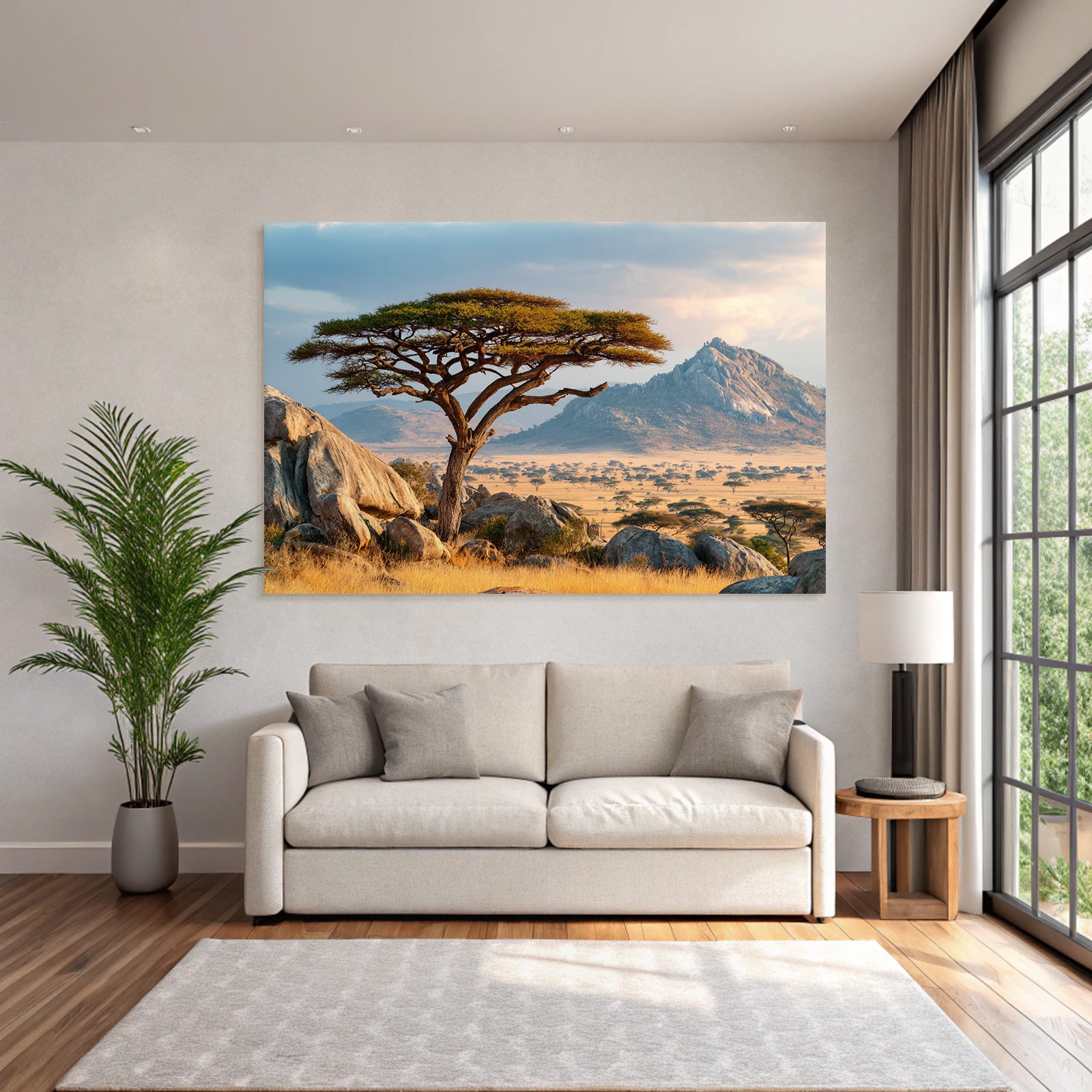 Desert Acacia Tree Stone Landscape Savana Golden Hour