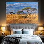 Desert Golden Grassland With Acacia Trees And Dramatic Sky