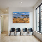Desert Golden Grassland With Acacia Trees And Dramatic Sky