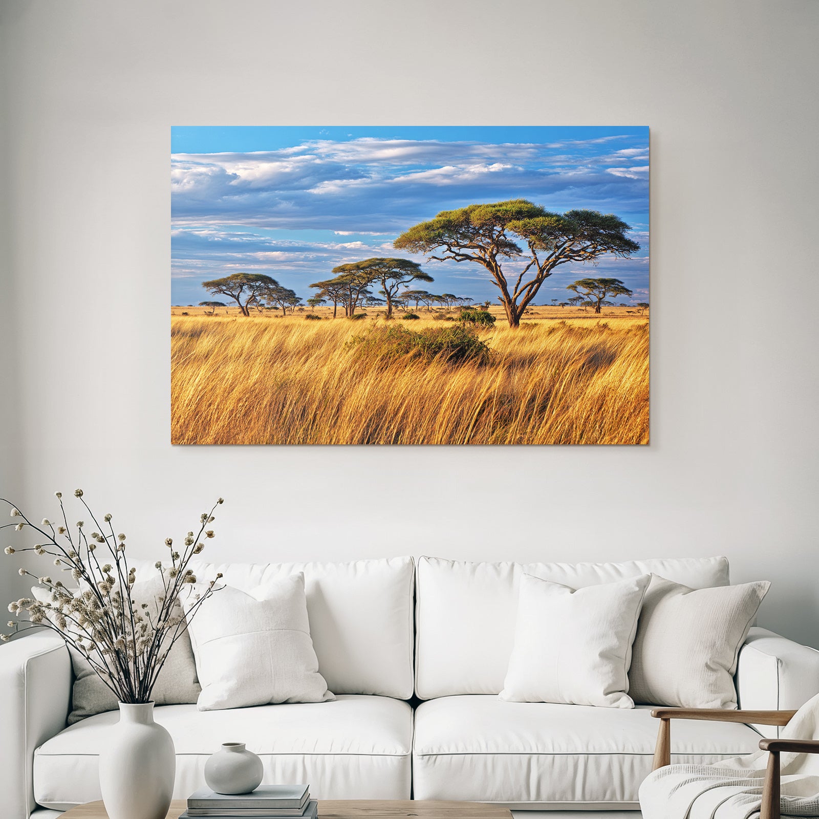 Desert Golden Grassland With Acacia Trees And Dramatic Sky