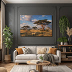 Desert Scenic Landscape With Savanna Acacia Trees Fox Sunrise Light