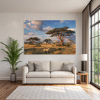 Desert Scenic Landscape With Savanna Acacia Trees Fox Sunrise Light